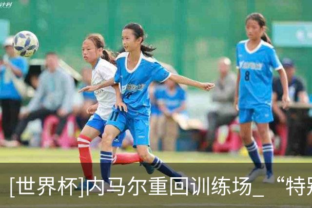 [世界杯]内马尔重回训练场 “特别”仪式欢迎巴西10号